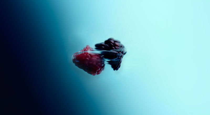 RED BERRIES