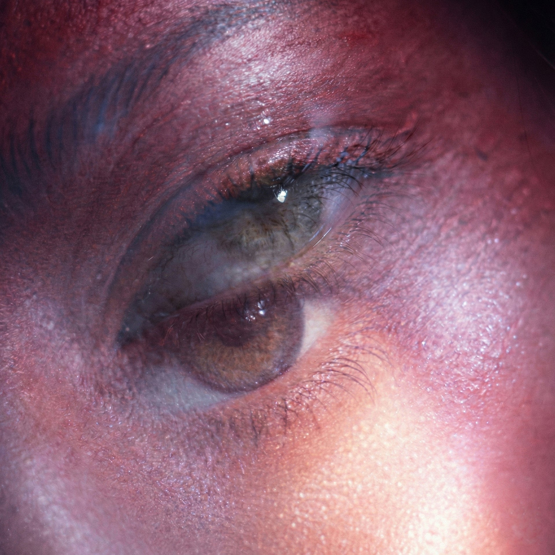 ABSOLUTES background image